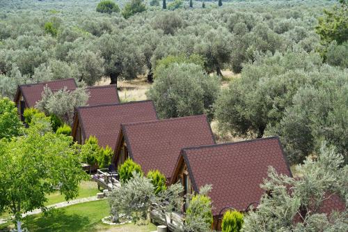 ida natura life style otel kazdaglari