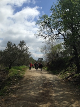 ida natura life style otel kazdaglari