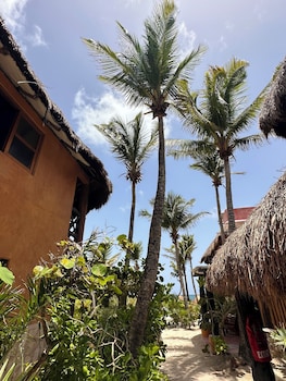la conchita tulum
