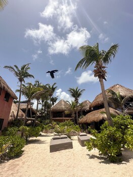 la conchita tulum