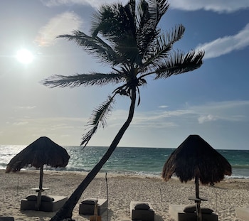 la conchita tulum