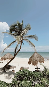 la conchita tulum