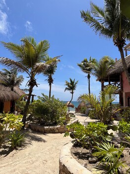 la conchita tulum