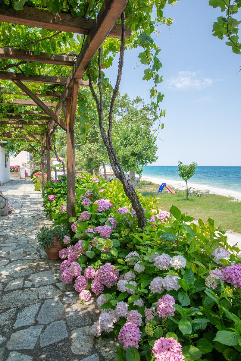 hotel cleopatra