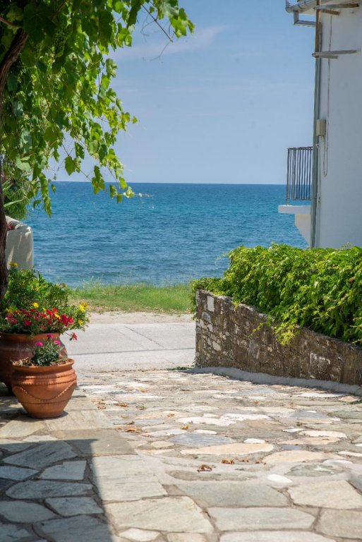 hotel cleopatra