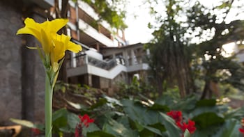 heri heights hotel apartments surestay collection by bw