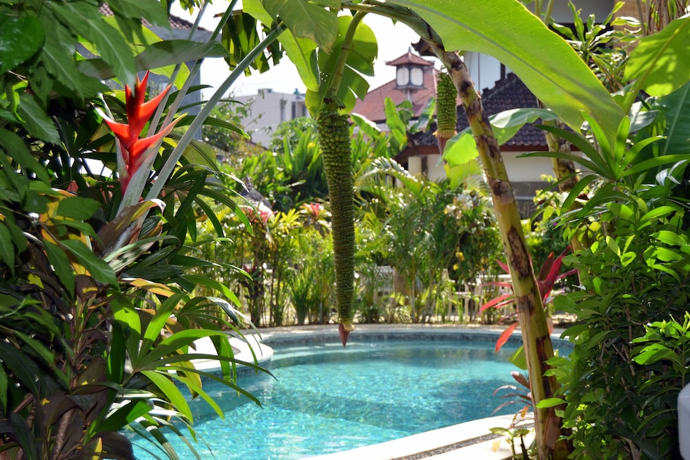 pearl boutique hotel adult only