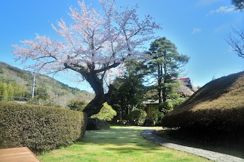 shuzenji kizuna plus