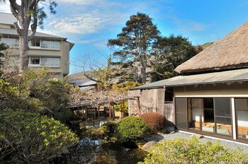 shuzenji kizuna plus