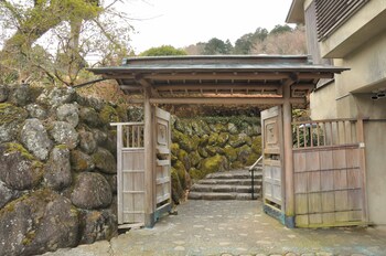 shuzenji kizuna plus