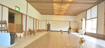 Shuzenji Kizuna Plus,,3 star