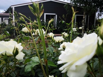Gateway  Motor Inn,Masterton>>Featherston,4 star