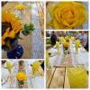 Gorgeous Gecko Guesthouse,Limpopo>>Bela-Bela,3 star