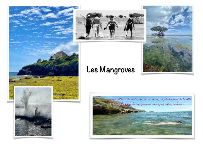 wagawimbi villa 560 m2 breathtaking view of the indian ocean kenya