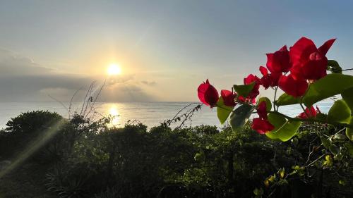 Wagawimbi Villa 560 M2, Breathtaking View Of The Indian Ocean, Kenya,,2 star
