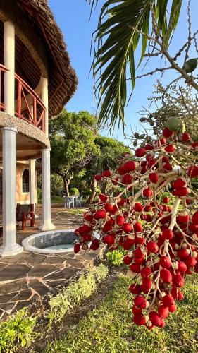 wagawimbi villa 560 m2 breathtaking view of the indian ocean kenya