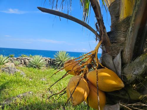 wagawimbi villa 560 m2 breathtaking view of the indian ocean kenya