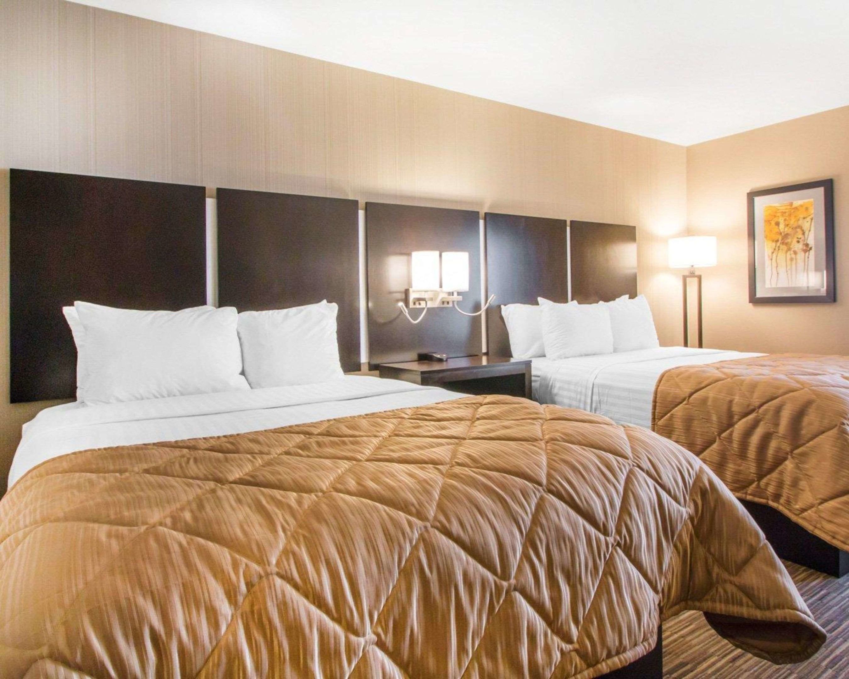 clarion inn and suites springfield