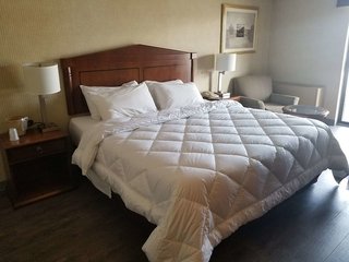 Travelodge By Wyndham Welland,Niagara Falls>>Niagara,2 star