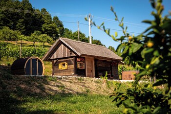 glamping paradise skatlar