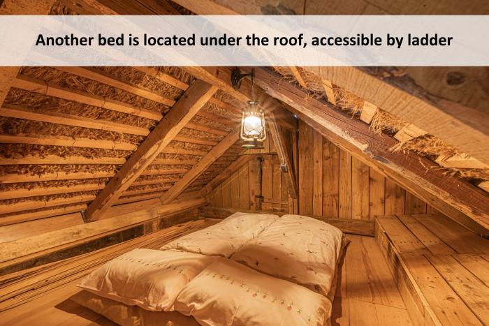 glamping paradise skatlar