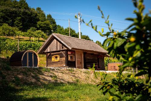 glamping paradise skatlar