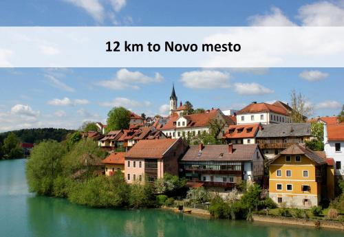 novo mesto