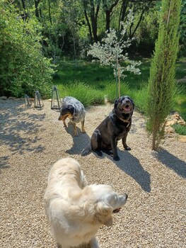 Bastide Cedrea,,3 star