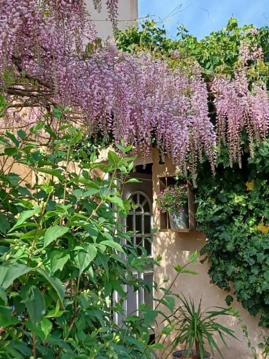 bastide cedrea