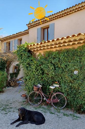 bastide cedrea