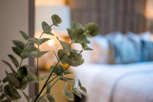 marble arch suites