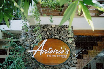 antonios bed and breakfast hotel