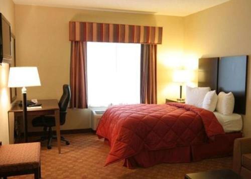 comfort inn and suites saratoga springs