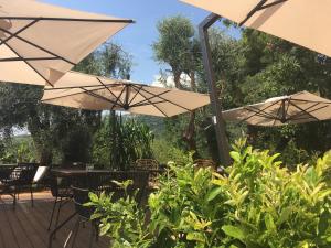 avocado hotel restaurant bar