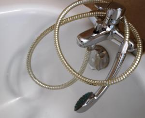 avocado hotel restaurant bar