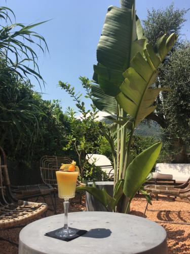 avocado hotel restaurant bar