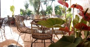 avocado hotel restaurant bar