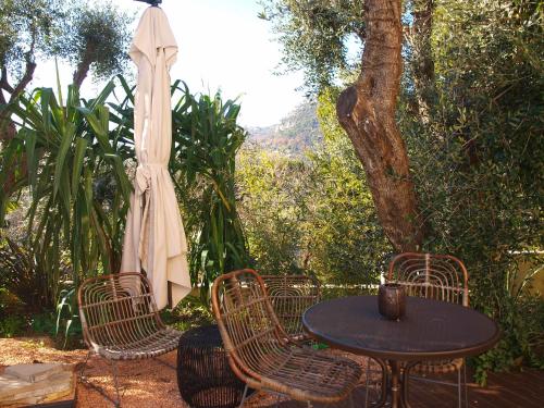 avocado hotel restaurant bar