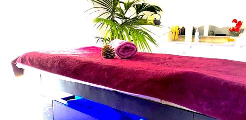 avocado hotel restaurant bar