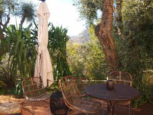 avocado hotel restaurant bar