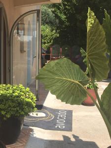 avocado hotel restaurant bar