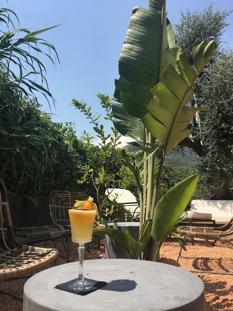 avocado hotel restaurant bar