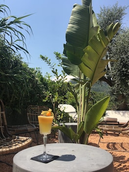 avocado hotel restaurant bar