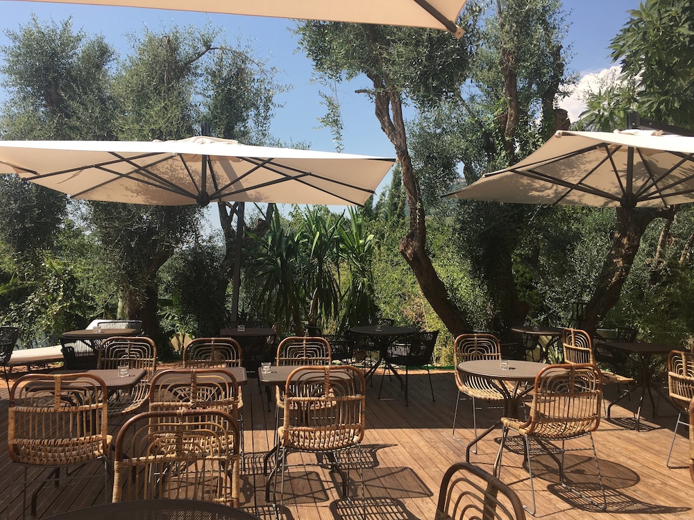 avocado hotel restaurant bar