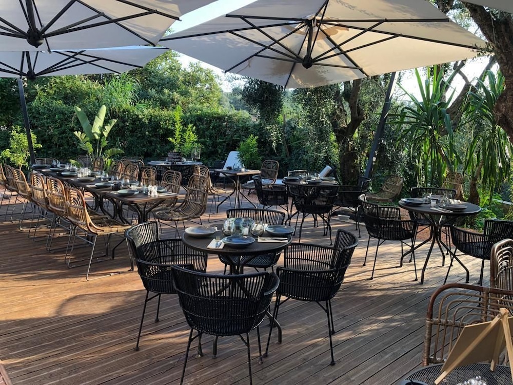 avocado hotel restaurant bar