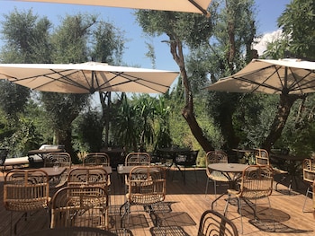 avocado hotel restaurant bar