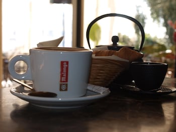 avocado hotel restaurant bar