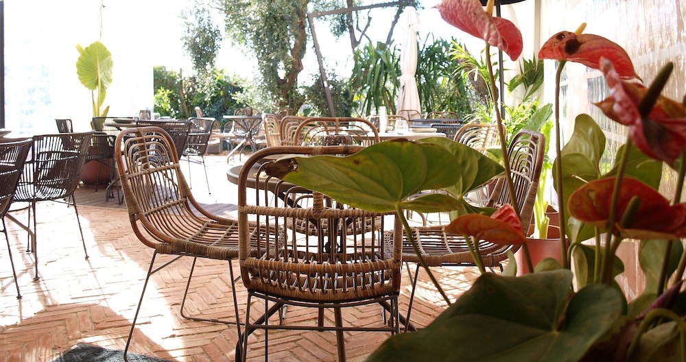 avocado hotel restaurant bar