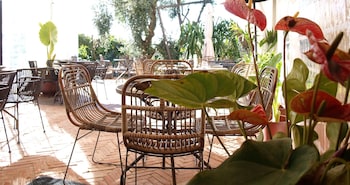 avocado hotel restaurant bar