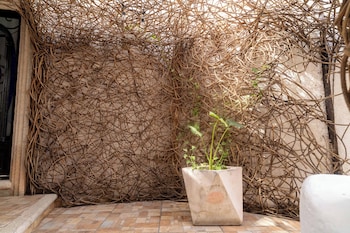 mezcal boutique hotel